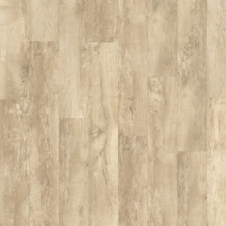 Moduleo Roots 0,55 Eir Country Oak 54225